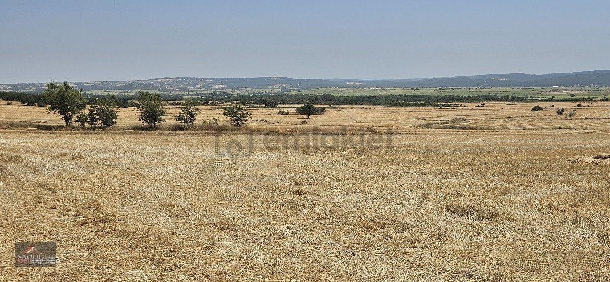 Erikli'de 10.500 M2 Satılık - 9