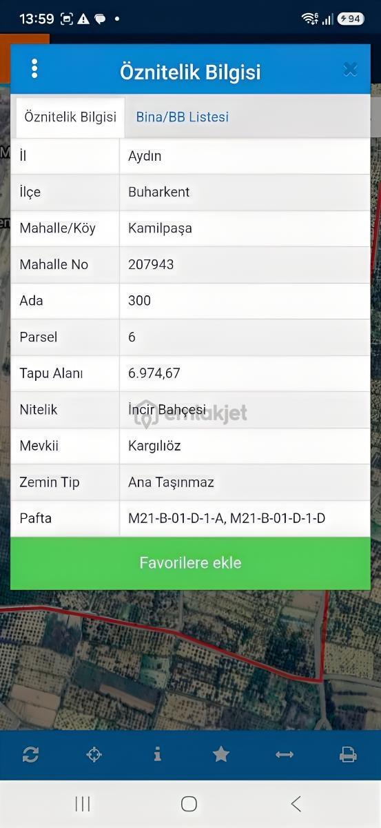 Nehirden Buharkent Kamilpaşada Satılık Zeytinlik - 2