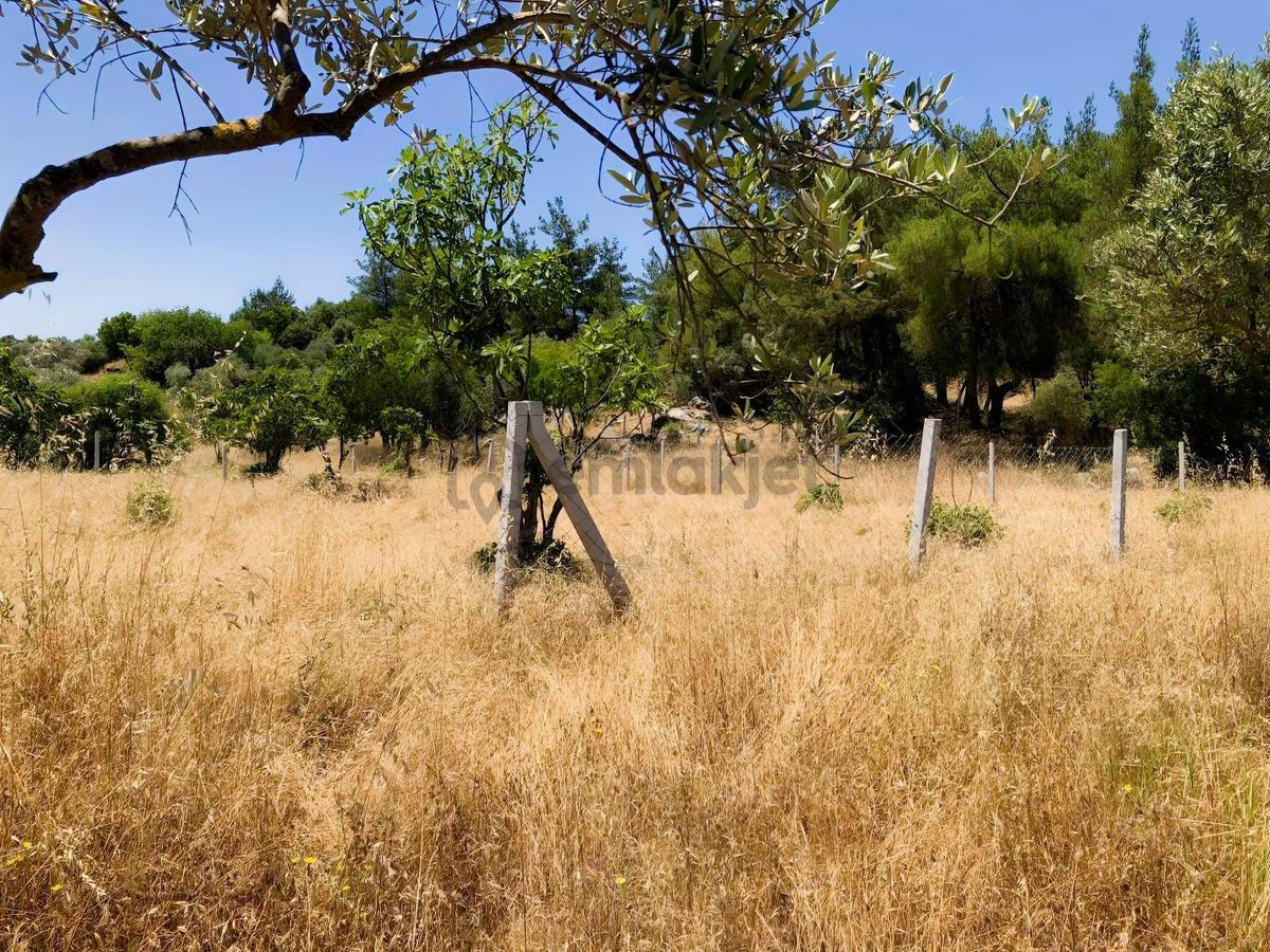 Torbalı Çamlıca´da Satılık 2272 M2 Arazi - 31