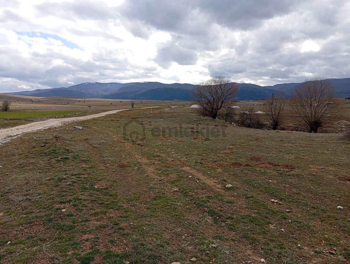 Sahibinden Kütahya Merkez Yoncalı 2.397 M2 Satılık Tarla
