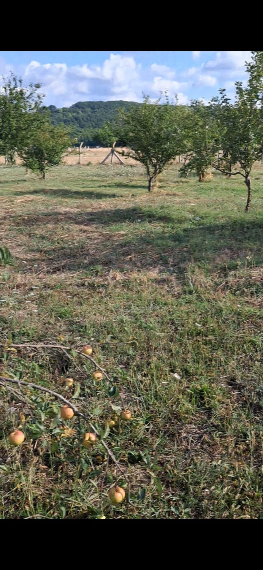 Sahibinden Çatalca Binkılıçta 2.539 M² Arsa+100m² Doğalgazlı Müstakil Ev - 15