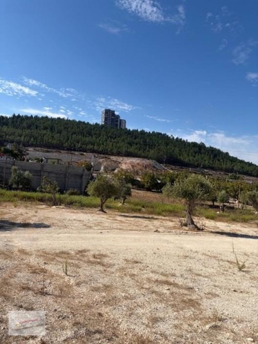 Üniversite Emlaktan 785 M2 Satılık Arsa!!!! - 6