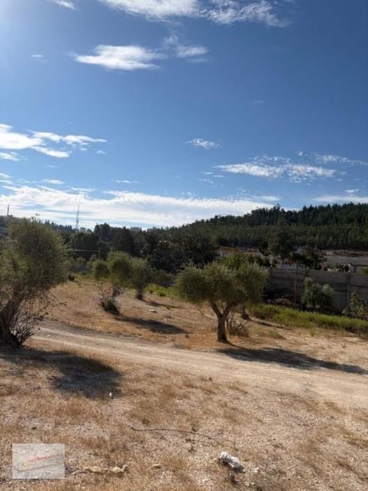 Üniversite Emlaktan 785 M2 Satılık Arsa!!!! - 5