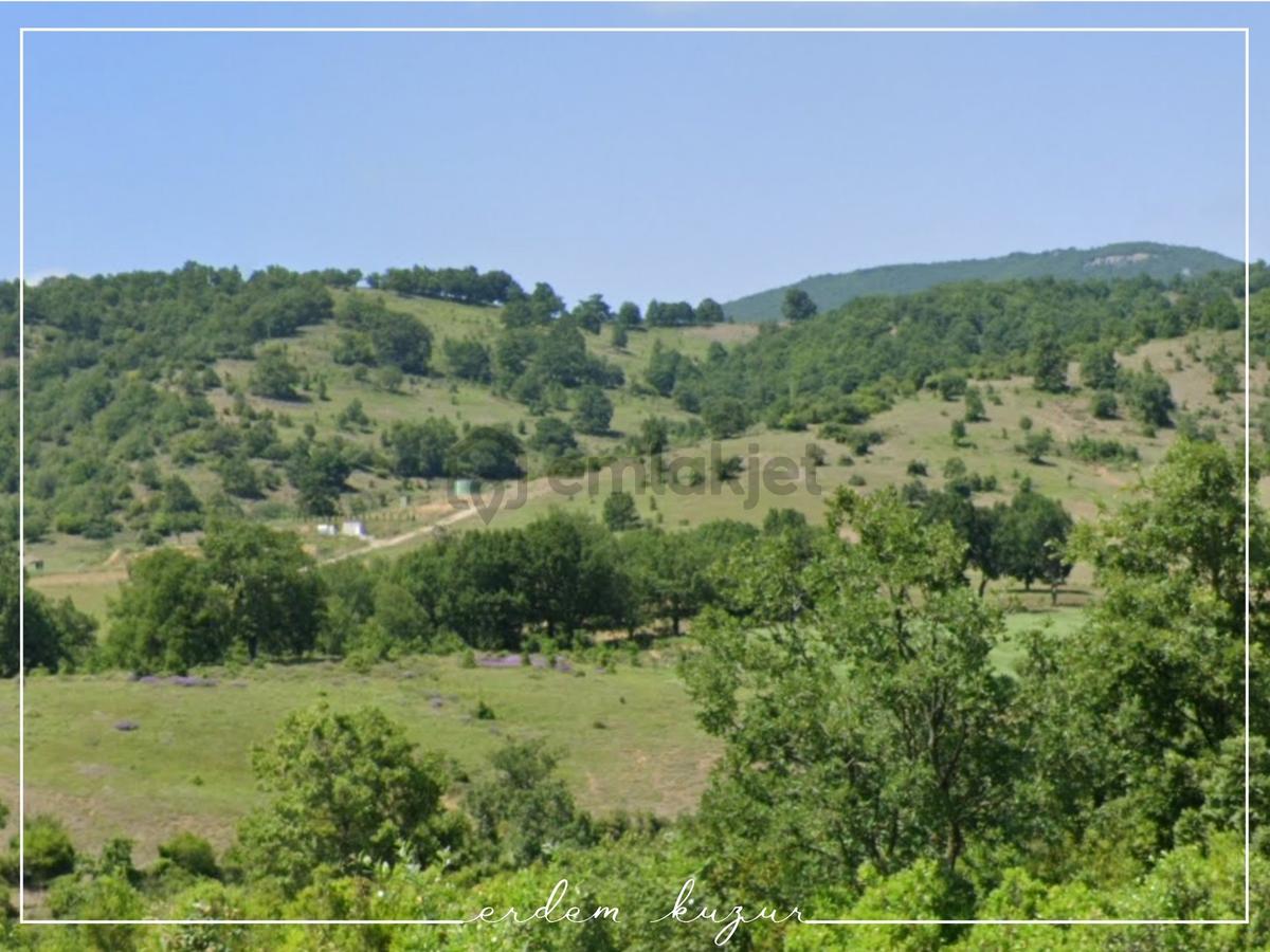 Bursa Kestel Nüzhetiye'de Satılık Arazi - 7