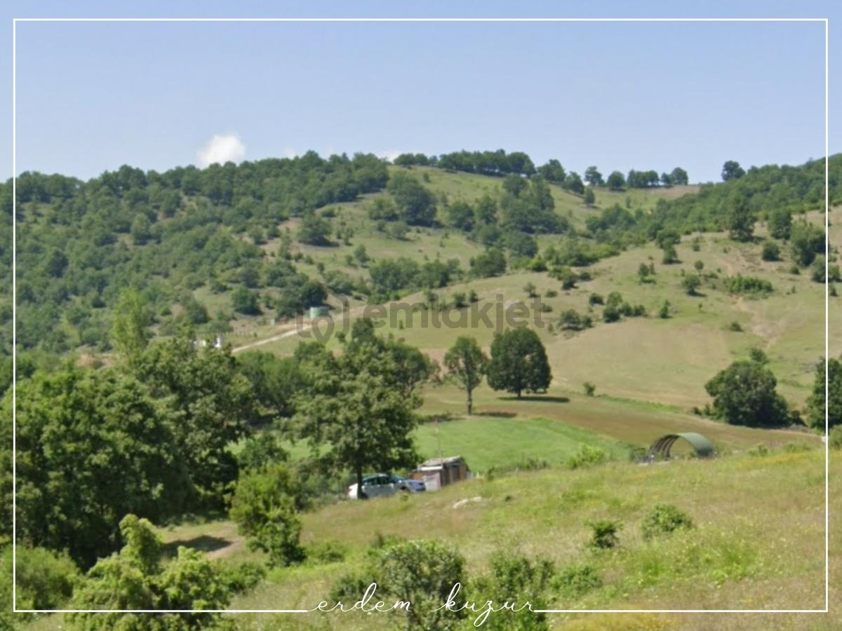 Bursa Kestel Nüzhetiye'de Satılık Arazi - 5