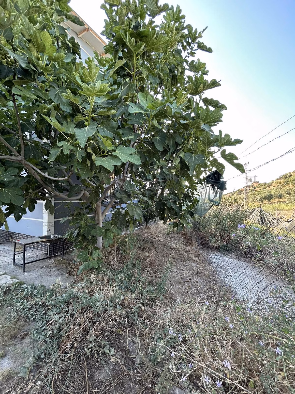 Dalbahçe Yolu Üzerinde 1.715 M2 Yerleşim Yeri - 24