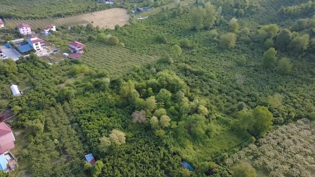 Vestha'dan Efirli Bölgesinde Denize Yakın Konut İmarlı Arsa - 13