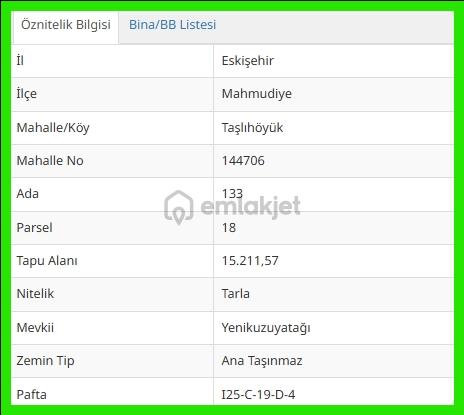 Rw Detay Dan Mahmudiyede Satılık Tarla - 5