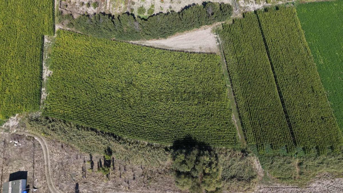 Beypazarı Yoluna Yakın 3.059 M2 Tek Tapu Sulu Arsa - 18
