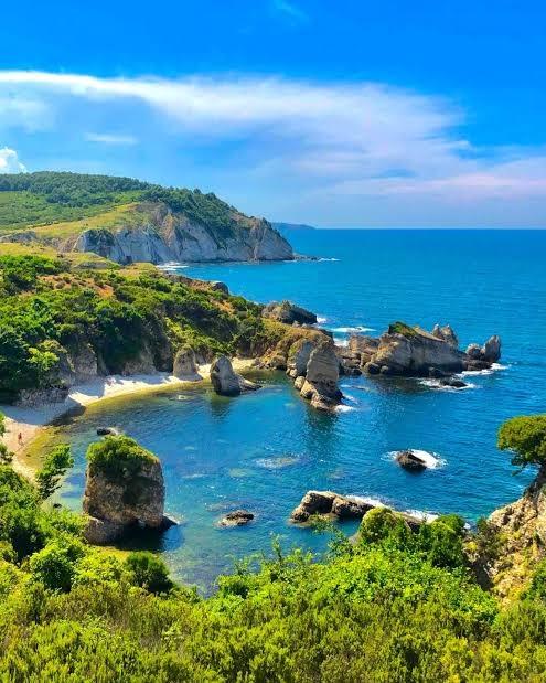 Deniz Manzaralı Resmi Yola Cepheli - 21