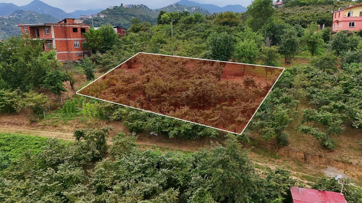 Royal'den Trabzon Kaşüstü'de Konut İmarlı 486 M2 Satılık Arsa - 4