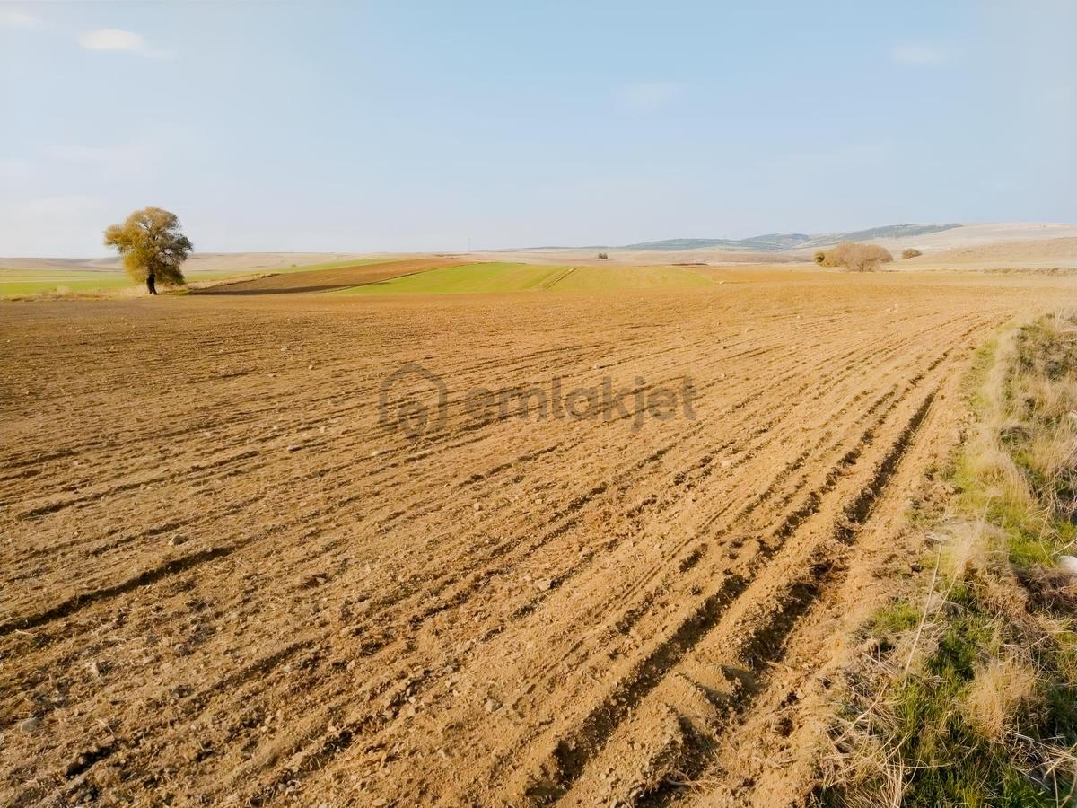 Rw Detay'dan Tepebaşı Hisar Mahallesinde Satılık Tarla - 13
