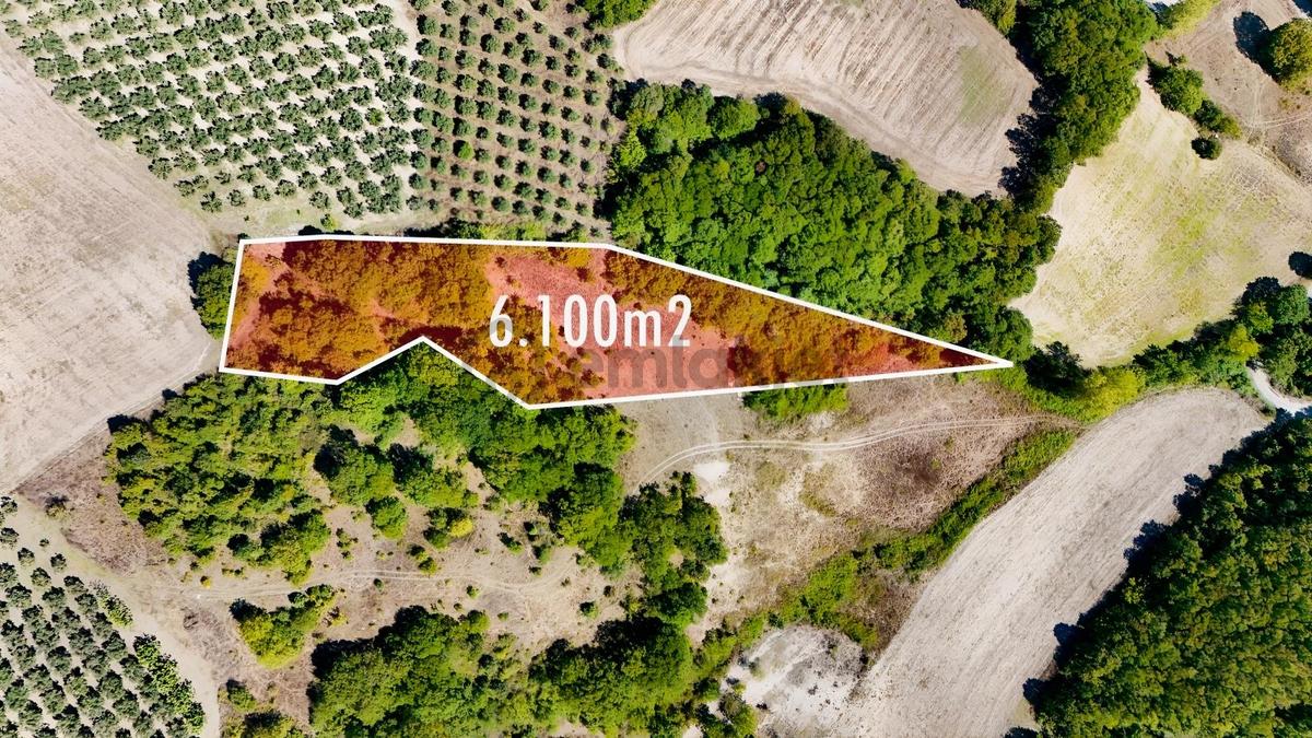 Bursa Mudanya Hançerlide 6.100 M² Satılık Tarla - 2