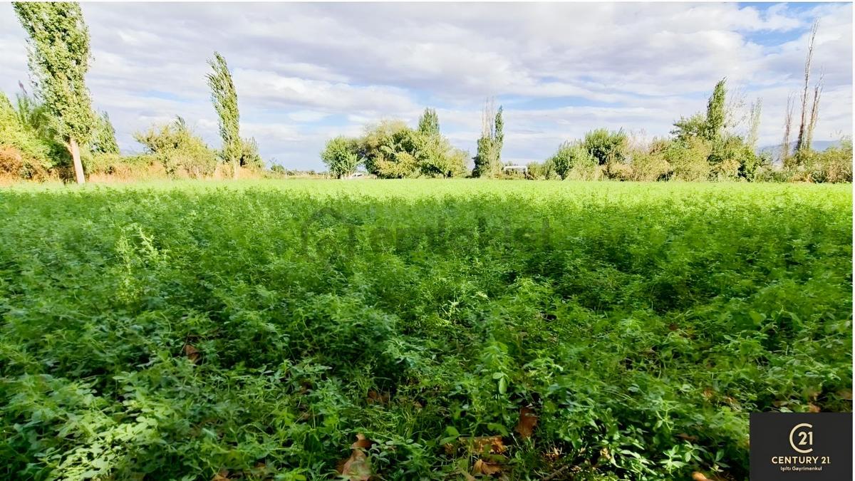 Aydın Pınarderede 3170 M² Tarla - 7