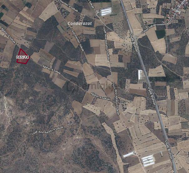 Sahibinden Denizli Çivril Gürpınar'da Satılık 15.461 M² Tarla - 2