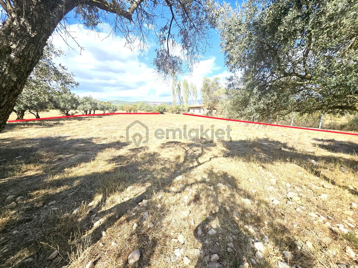 Sahibinden Aciil..muğla-ula' Da Tek Tapu Sahibinden Satılık - 9