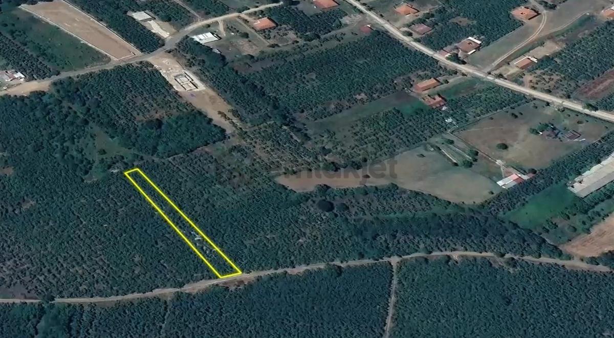 İkramiye De Yol Üzeri Parsel - 5