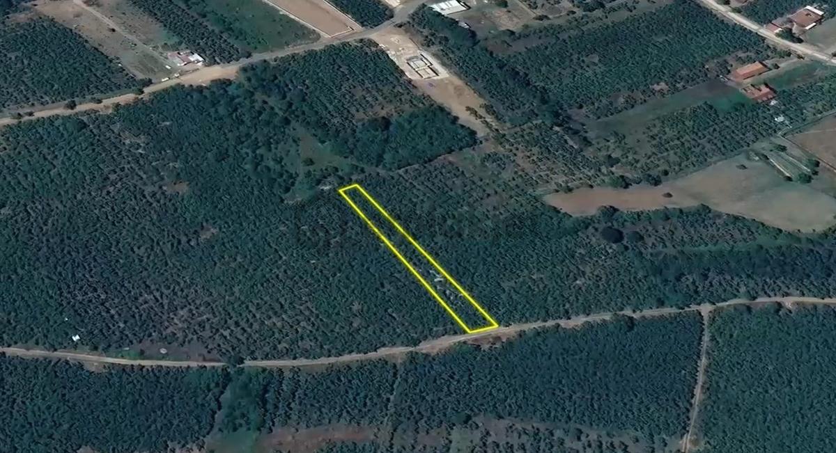 İkramiye De Yol Üzeri Parsel - 11