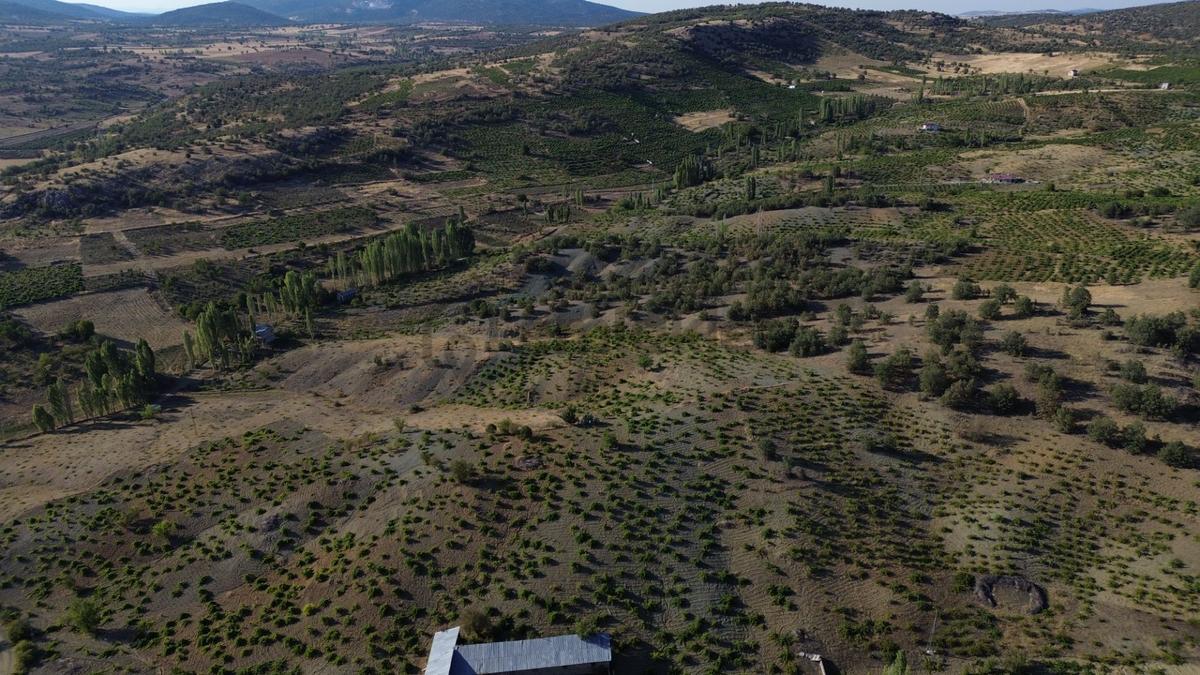Bozkır Hamzalar'da 2136 M² Satılık Konut İmarlı Arsa - 20