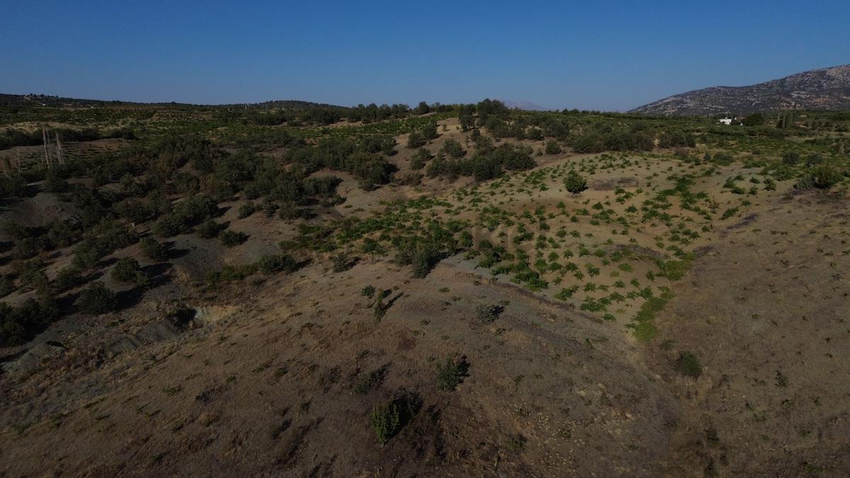 Bozkır Hamzalar'da 2136 M² Satılık Konut İmarlı Arsa - 30
