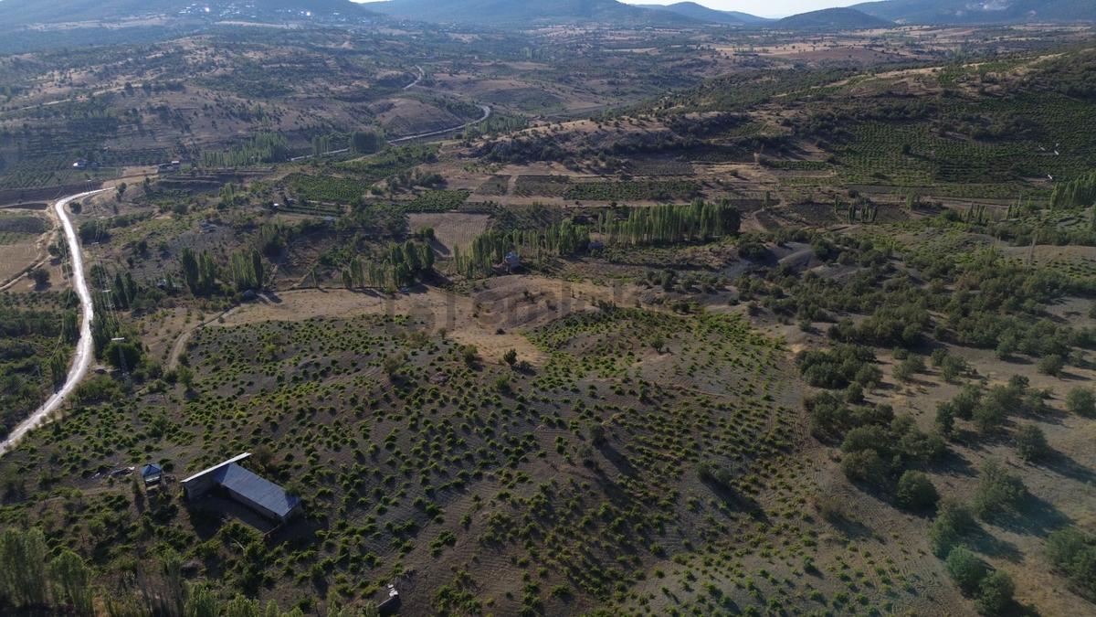 Bozkır Hamzalar'da 2136 M² Satılık Konut İmarlı Arsa - 24
