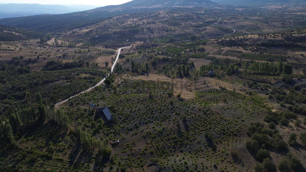 Bozkır Hamzalar'da 2136 M² Satılık Konut İmarlı Arsa - 26