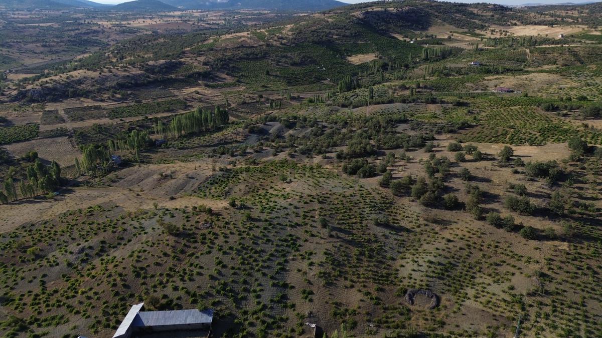Bozkır Hamzalar'da 2136 M² Satılık Konut İmarlı Arsa - 21