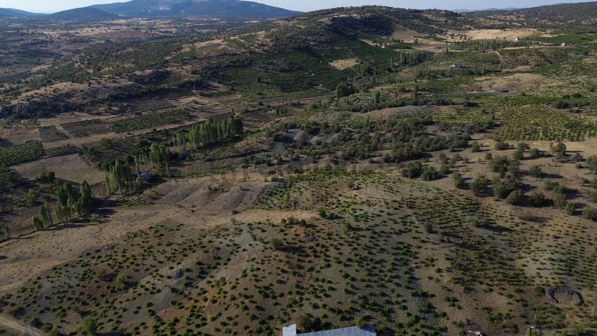 Bozkır Hamzalar'da 2136 M² Satılık Konut İmarlı Arsa - 19