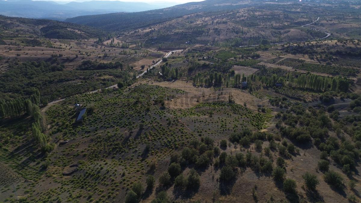 Bozkır Hamzalar'da 2136 M² Satılık Konut İmarlı Arsa - 29