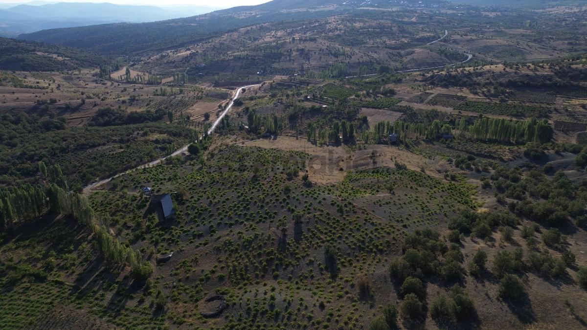 Bozkır Hamzalar'da 2136 M² Satılık Konut İmarlı Arsa - 27