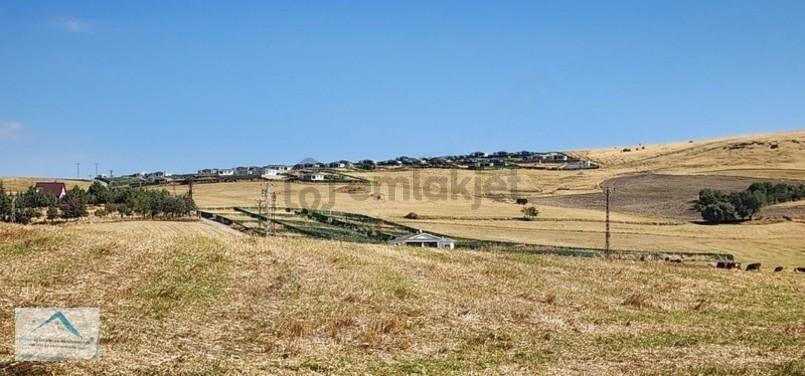 Beynam Mah 14.500 M2 Tek Tapu Çiftlik Arazisi - 2