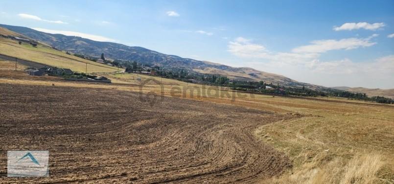 Beynam Mah 14.500 M2 Tek Tapu Çiftlik Arazisi - 24