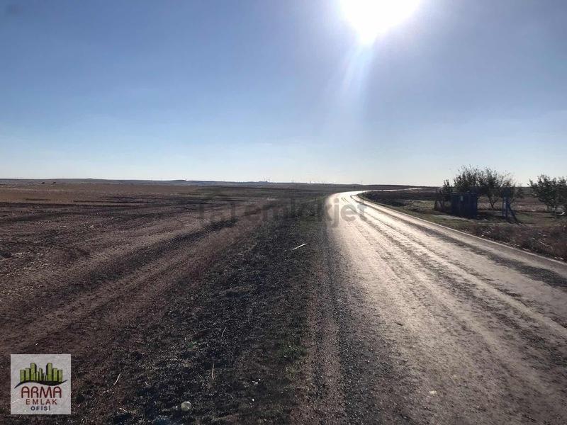 Tekirdağ Ergene Misinli Yola Cephe Satılık Tarla - 10