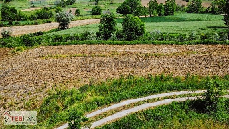 Kocaeli Kandıra Seyitaliler - 4