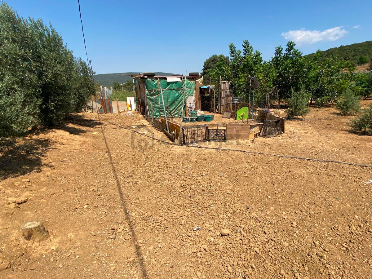 Remax Armadan Menderes Ataköy'de Numaratjlı Satılık - 6
