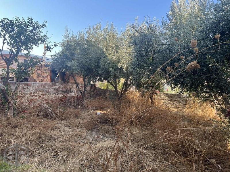 İzmir Selçuk'ta 14 Mayıs Mahallesi'nde 260m2 - 5