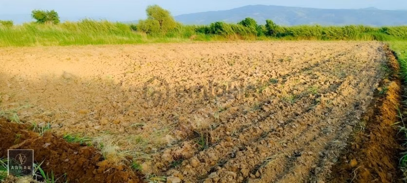 Sultanhisar Atça'da Satılık 2.947 M² Müstakil Tapulu Tarla