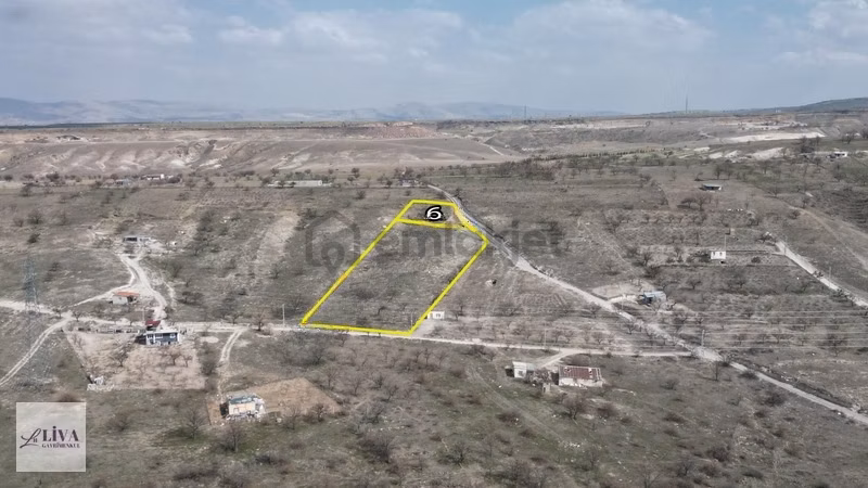 Liva'dan Reşadiye'de Taksimli 1230 M² Bağ - 5