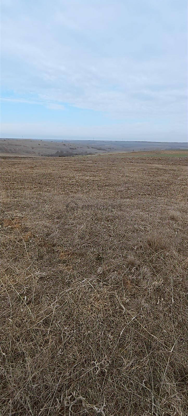 Satılık 2.284 M² Bağ Yeri - 8