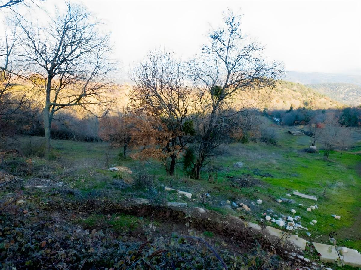 Doğa Harikası Abbaslık Ta - 27