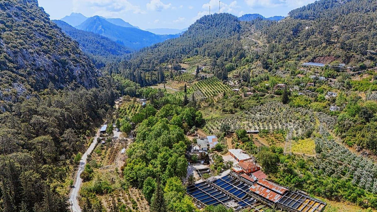 Kemer Ulupınar'da Satılık 2291 M2 Arazi - 5