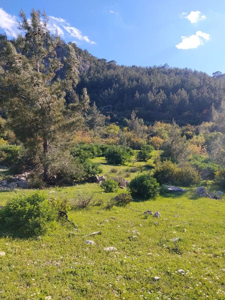 Elitten Karakayada Satılık Tarla - 10
