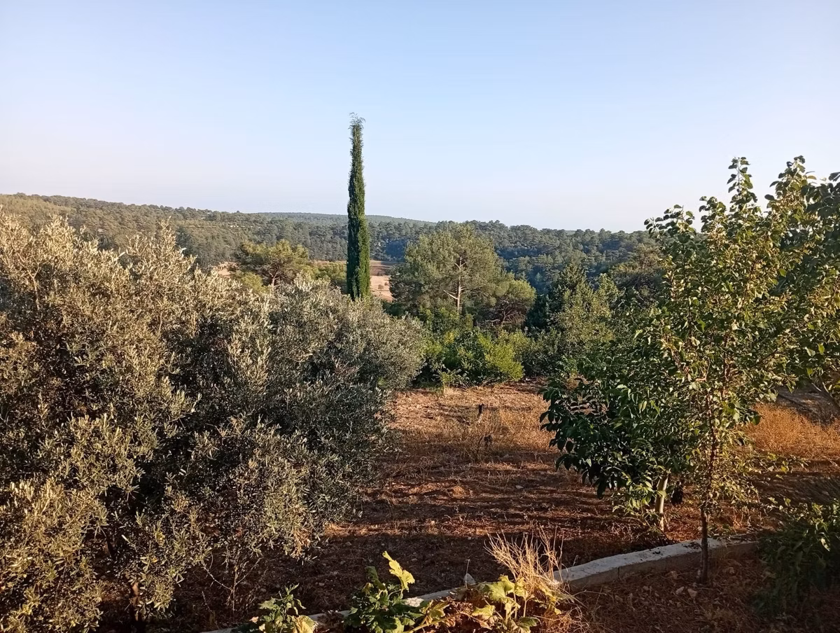 Mersin Silifke Çaltıbozkırda Yaylalık - 32