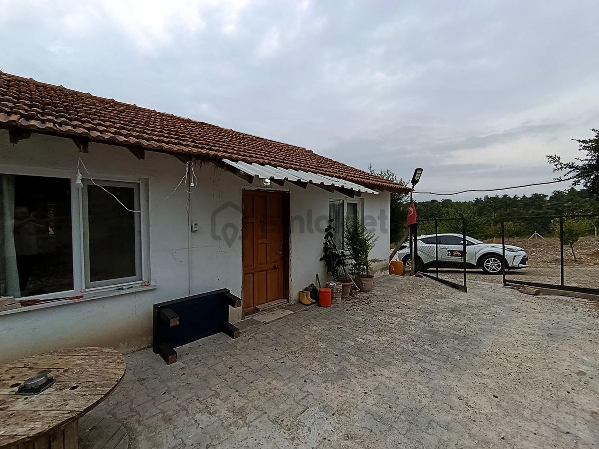Balıkesir Bigadiç Çağışta Chandler Ceviz Bahçesi - 9