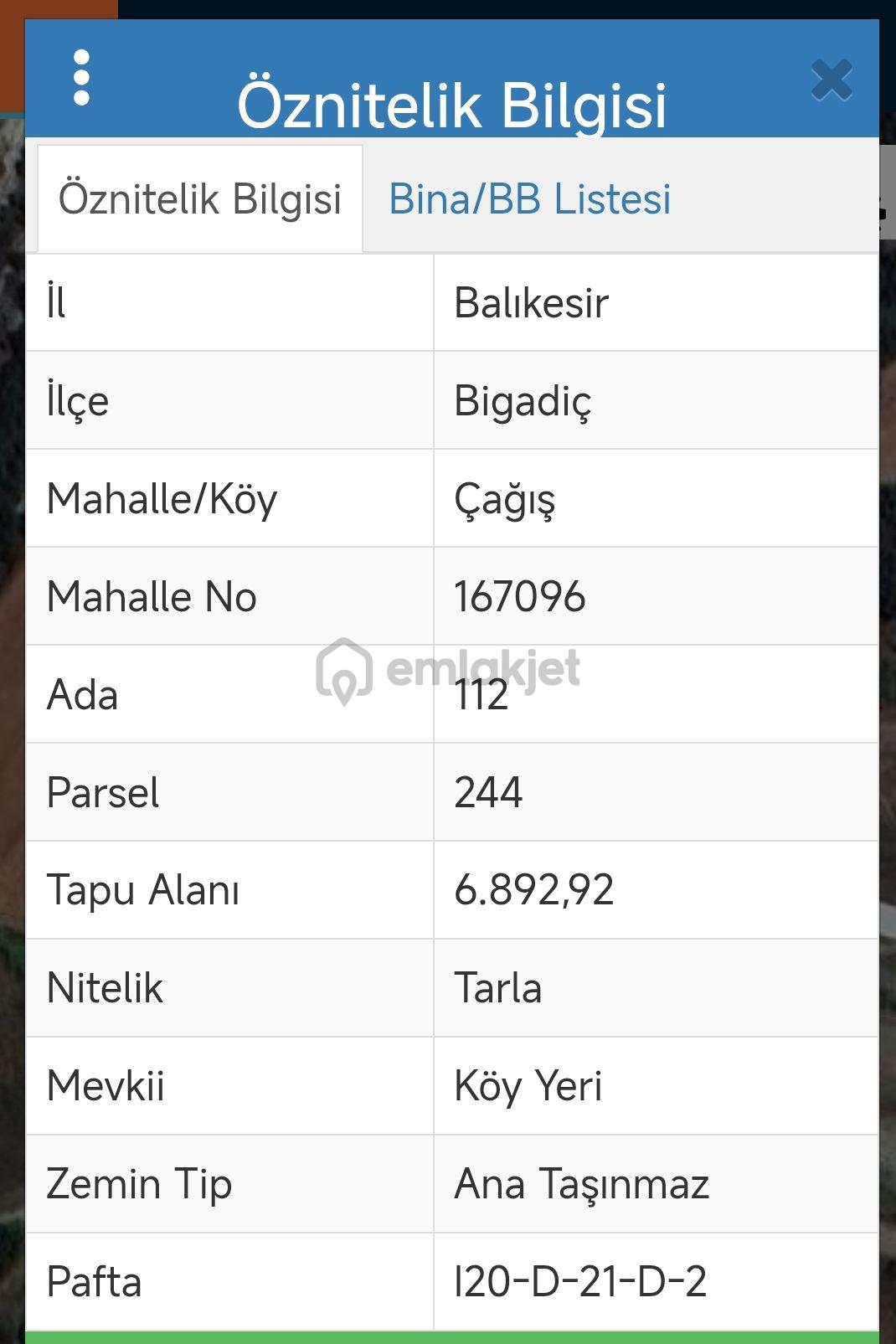 Balıkesir Bigadiç Çağışta Chandler Ceviz Bahçesi - 8