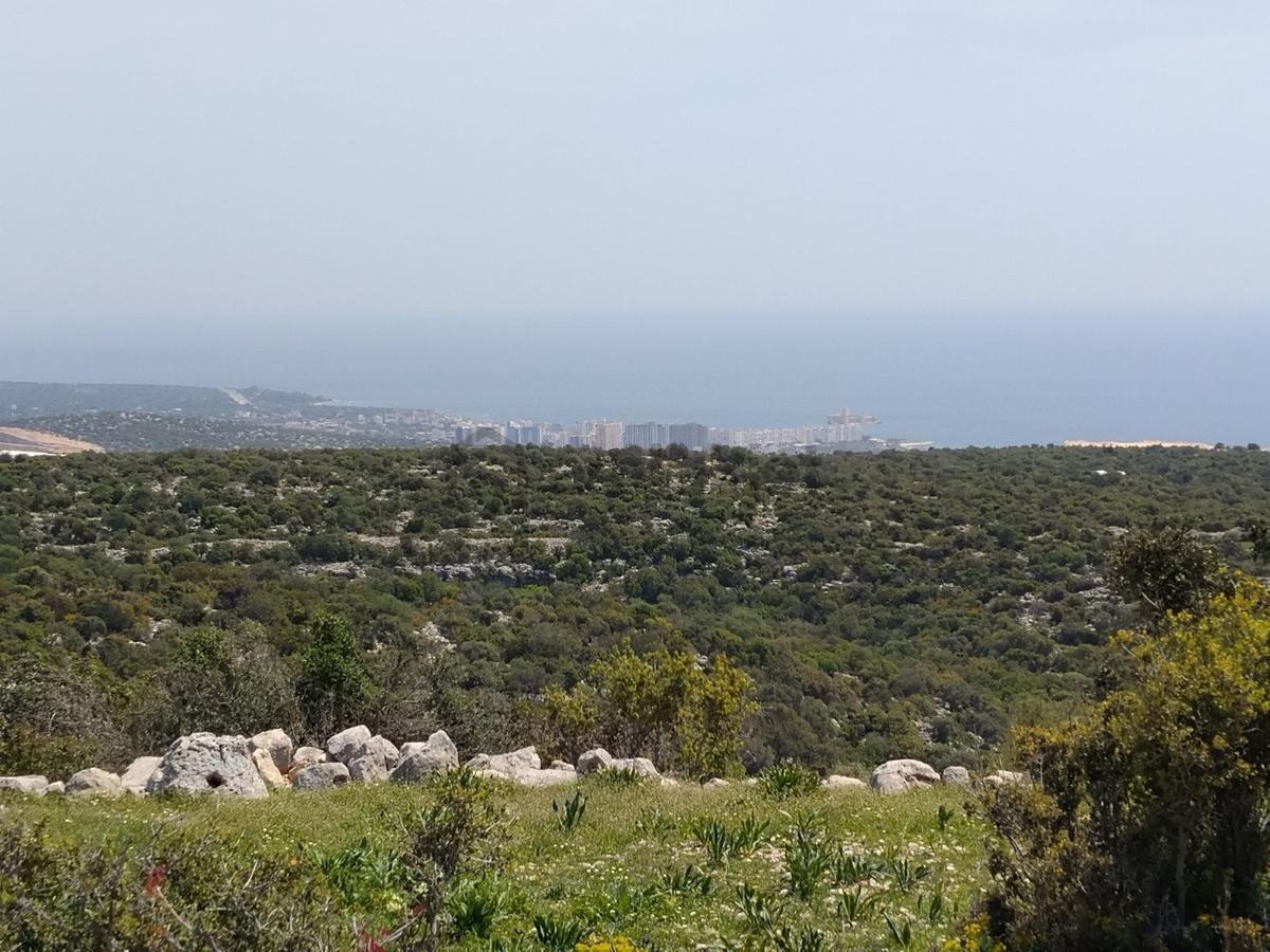 Narlıkuyu Hasanalilerde Tarla - 8