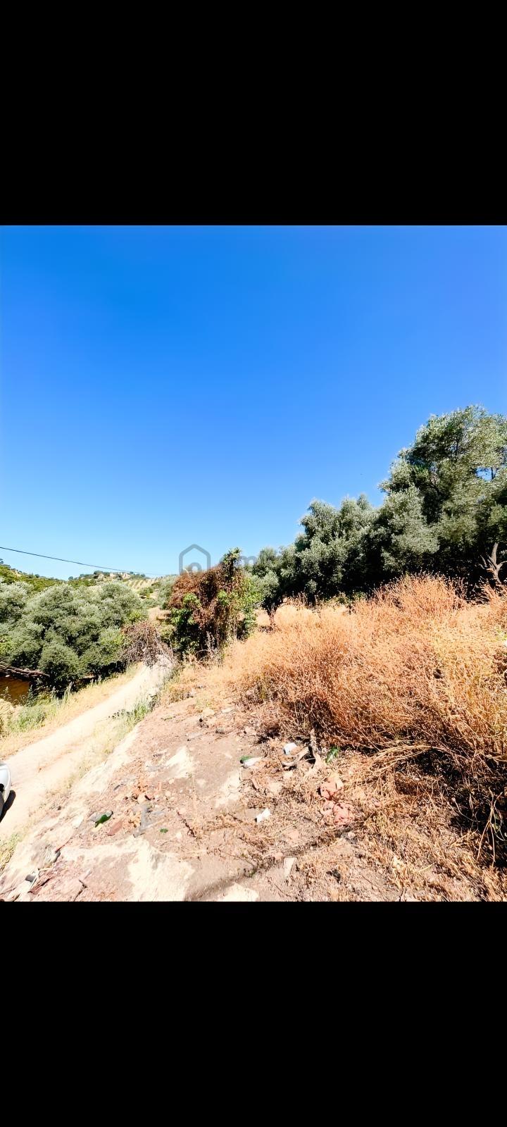 Germencik Çarıklarda İmarlı Arsa. - 3