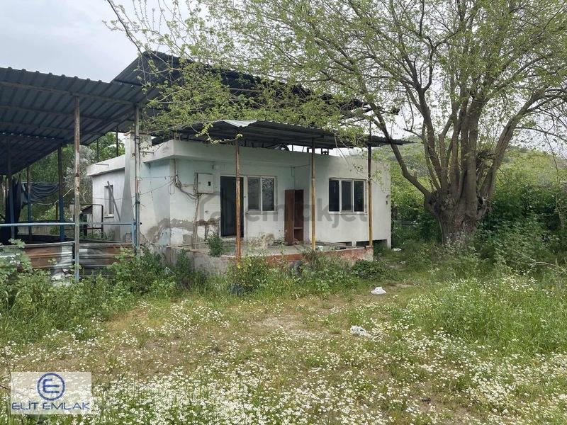 Aydın Muğla Yoluna Cepheli 150 Başlık Ruhsatlı Çiflik - 22