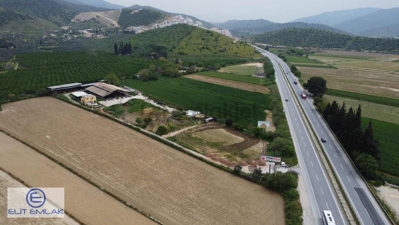 Aydın Muğla Yoluna Cepheli 150 Başlık Ruhsatlı Çiflik - 6