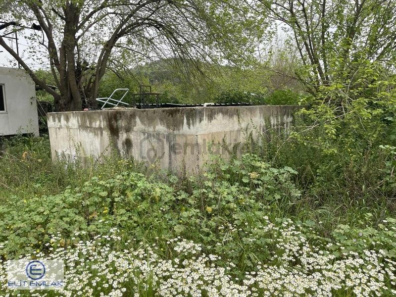 Aydın Muğla Yoluna Cepheli 150 Başlık Ruhsatlı Çiflik - 24